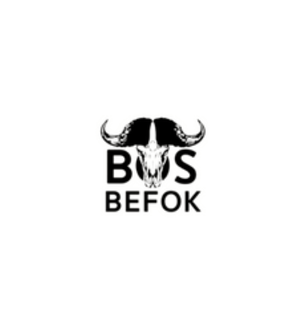 Bos Befok Sticker/ Buffalo Sticker/ Buffel Sticker/ Vehicle Sticker