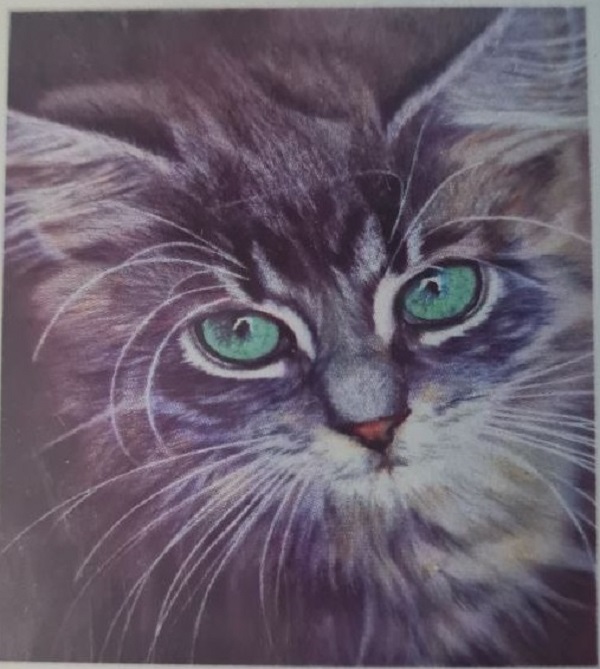 5D Diamond Dotting – Cat