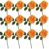 Toolhome Blossoms – Rose Georgia – Orange (Pack of 12 Stems) – 30cm Toolhome Blossoms – Rose Georgia – Orange (Pack of 12 Stems) – 30cm