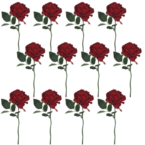 Toolhome Blossoms – Rose Georgia – Red (Pack of 12 Stems) – 30cm