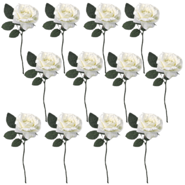 Toolhome Blossoms – Rose Georgia – White (Pack of 12 Stems) – 30cm