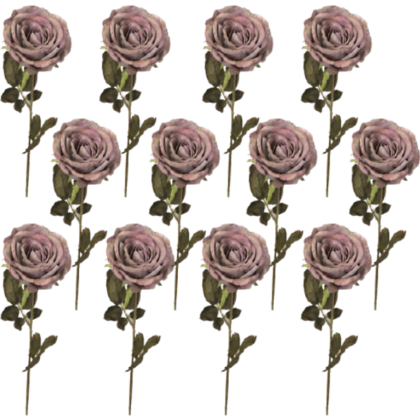 Toolhome Blossoms – Rose Dry Look – Olive Purple (Pack of 12) – 66cm