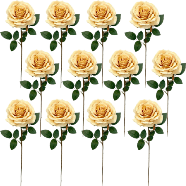 Toolhome Blossoms – Rose Full Bloom – Butter (Pack of 12) – 64cm