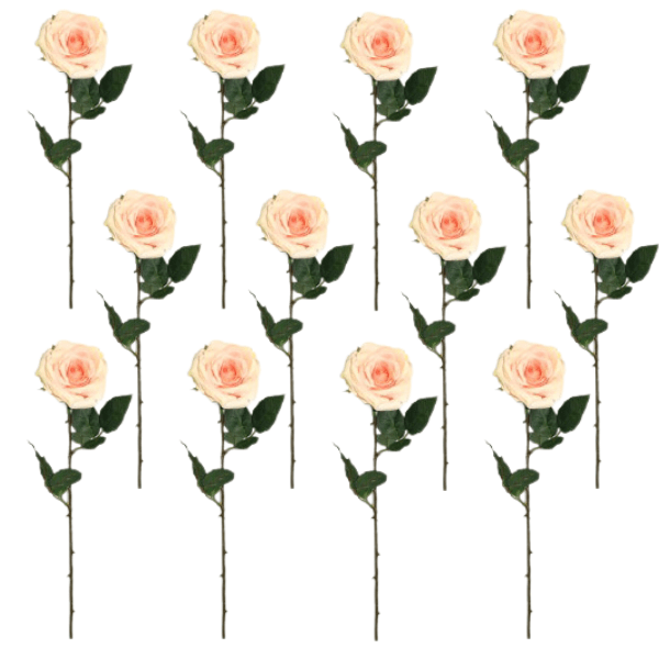 Toolhome Blossoms – Rose Olivia – Soft Pink (Pack of 12) – 63cm
