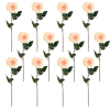 Toolhome Blossoms – Rose Olivia – Soft Pink (Pack of 12) – 63cm Toolhome Blossoms – Rose Olivia – Soft Pink (Pack of 12) – 63cm