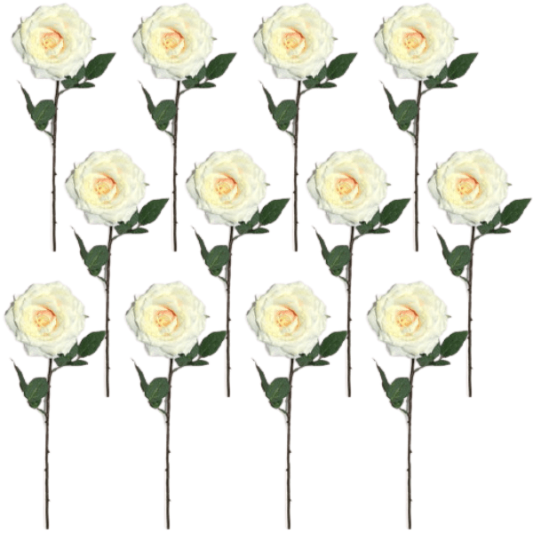 Toolhome Blossoms – Summer Rose – Sea Shell (Pack of 12) – 63cm