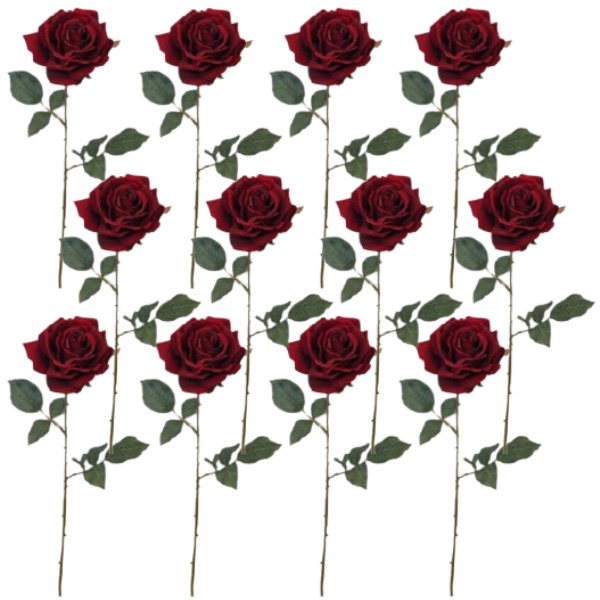 Toolhome Blossoms – Rose Velvet Bella – Red (Pack of 12) – 65cm