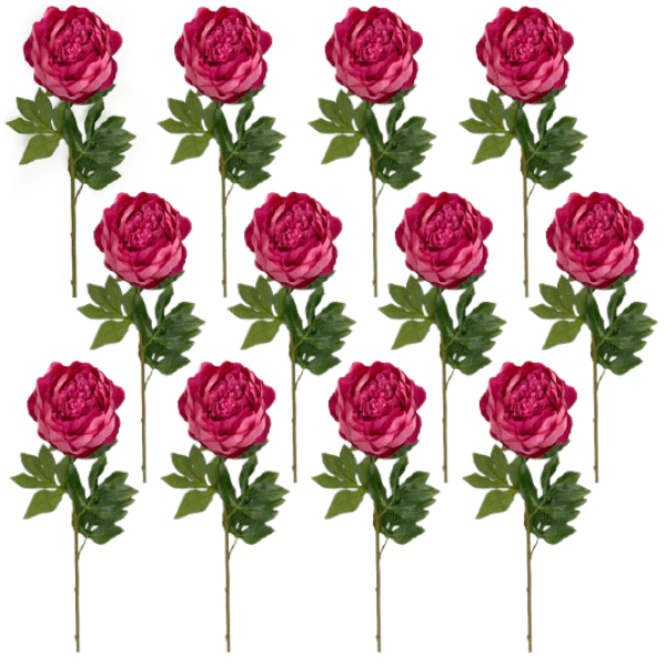 Toolhome Blossoms – Peony – Beauty (Pack of 12 Stems) – 52cm