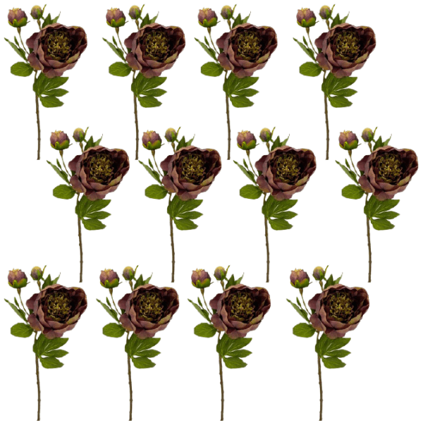 Toolhome Blossoms – Peony – Burgundy Green (Pack of 12 Stems) – 49cm