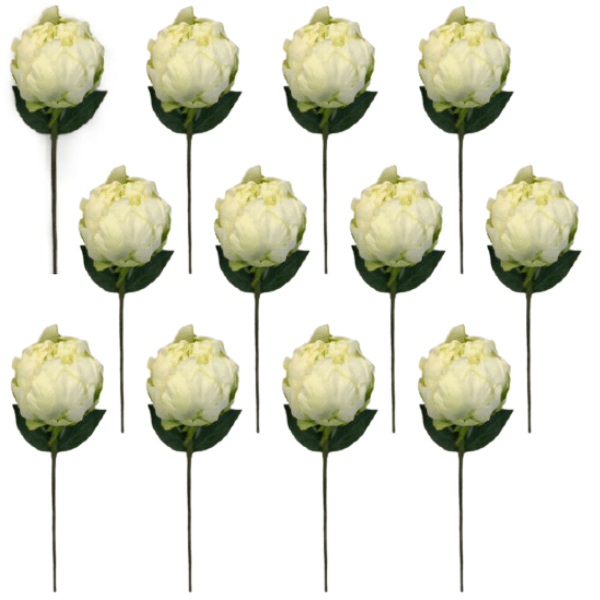 Toolhome Blossoms – Closed Peony – White Green (Pack of 12 Stems) – 32cm