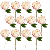 Toolhome Blossoms – Closed Peony – Light Pink (Pack of 12 Stems) – 30cm Toolhome Blossoms – Closed Peony – Light Pink (Pack of 12 Stems) – 30cm