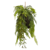 Toolhome Blossoms – Hanging Fern in Moss Ball – 58cm Toolhome Blossoms – Hanging Fern in Moss Ball – 58cm