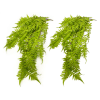 Toolhome Blossoms – Hanging Fern (Pack of 2) – 78.7cm Toolhome Blossoms – Hanging Fern (Pack of 2) – 78.7cm