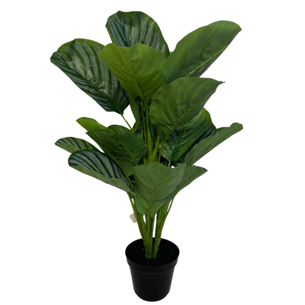 Toolhome Blossoms – Calathea in a Pot (Real Touch) – 56cm