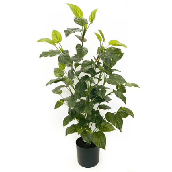 Toolhome Blossoms – Pothos Plant in Pot – Real Touch (92cm)
