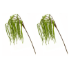 Toolhome Blossoms – Willow Spray (Pack of 2 Stems) – 89cm Toolhome Blossoms – Willow Spray (Pack of 2 Stems) – 89cm