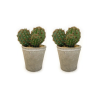 Toolhome Blossoms – Cactus in Pot – Pack of 2 – 14cm Toolhome Blossoms – Cactus in Pot – Pack of 2 – 14cm
