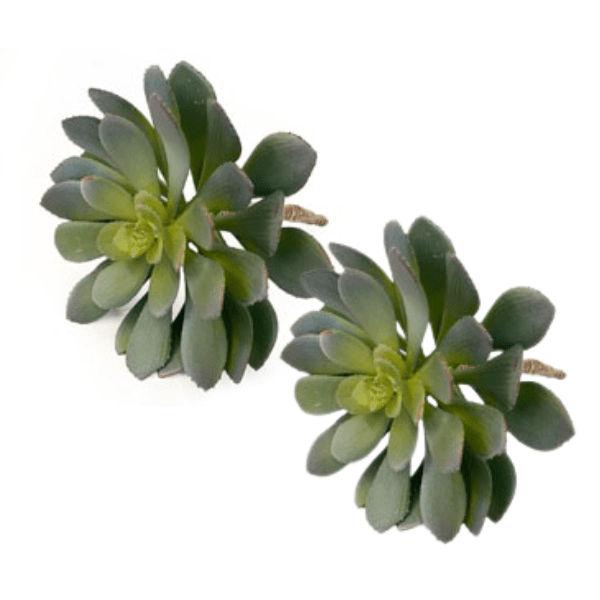 Toolhome Blossoms – Succulents (Pack of 2) – 27cm