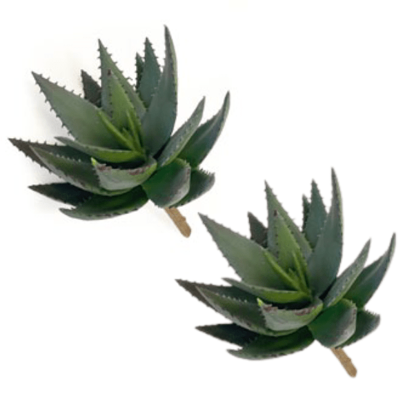 Toolhome Blossoms – Aloe Picks (Pack of 4 Stems) – 22cm