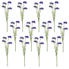 Toolhome Blossoms – Statice – Purple (Pack of 12 Stems) – 68cm Toolhome Blossoms – Statice – Purple (Pack of 12 Stems) – 68cm