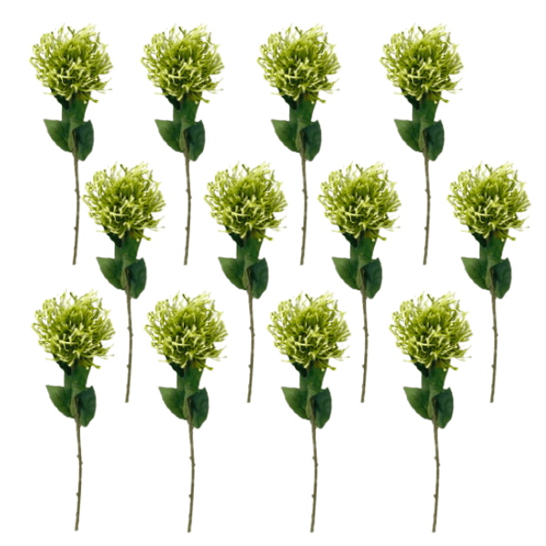 Toolhome Blossoms – Green Pincushions (Pack of 12) – 73cm