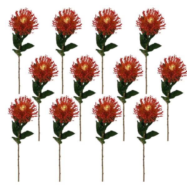Toolhome Blossoms – Orange Pincushions (Pack of 12) – 73cm