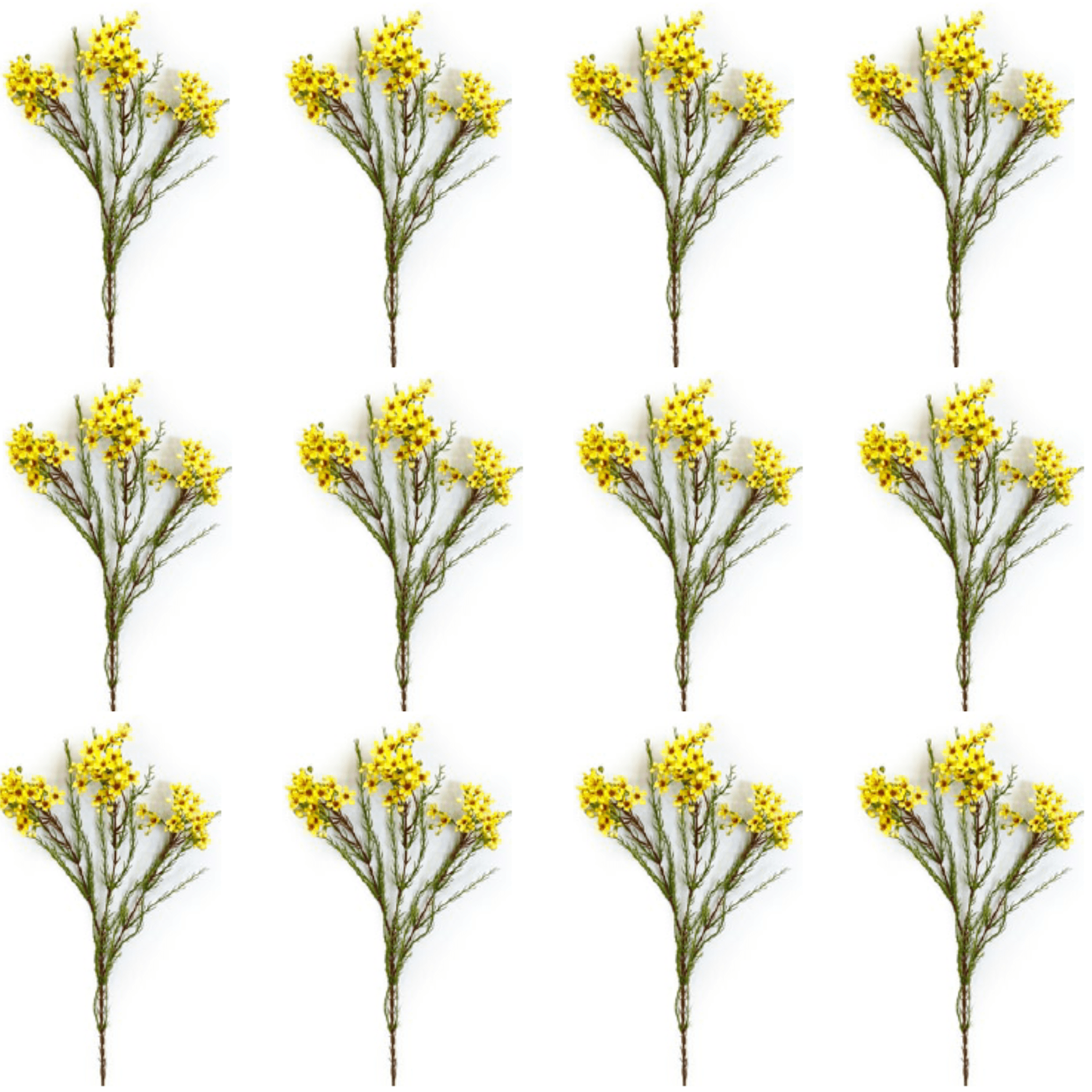 Toolhome Blossoms – Wax Flowers – Yellow Gold (Pack of 12 Stems) – 78cm