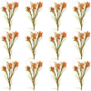 Toolhome Blossoms – Wax Flowers – Orange (Pack of 12 Stems) – 78cm Toolhome Blossoms – Wax Flowers – Orange (Pack of 12 Stems) – 78cm
