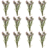 Toolhome Blossoms – Wax Flowers – Lilac (Pack of 12 Stems) – 78cm Toolhome Blossoms – Wax Flowers – Lilac (Pack of 12 Stems) – 78cm