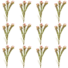Toolhome Blossoms – Wax Flowers – Pink (Pack of 12 Stems) – 78cm Toolhome Blossoms – Wax Flowers – Pink (Pack of 12 Stems) – 78cm