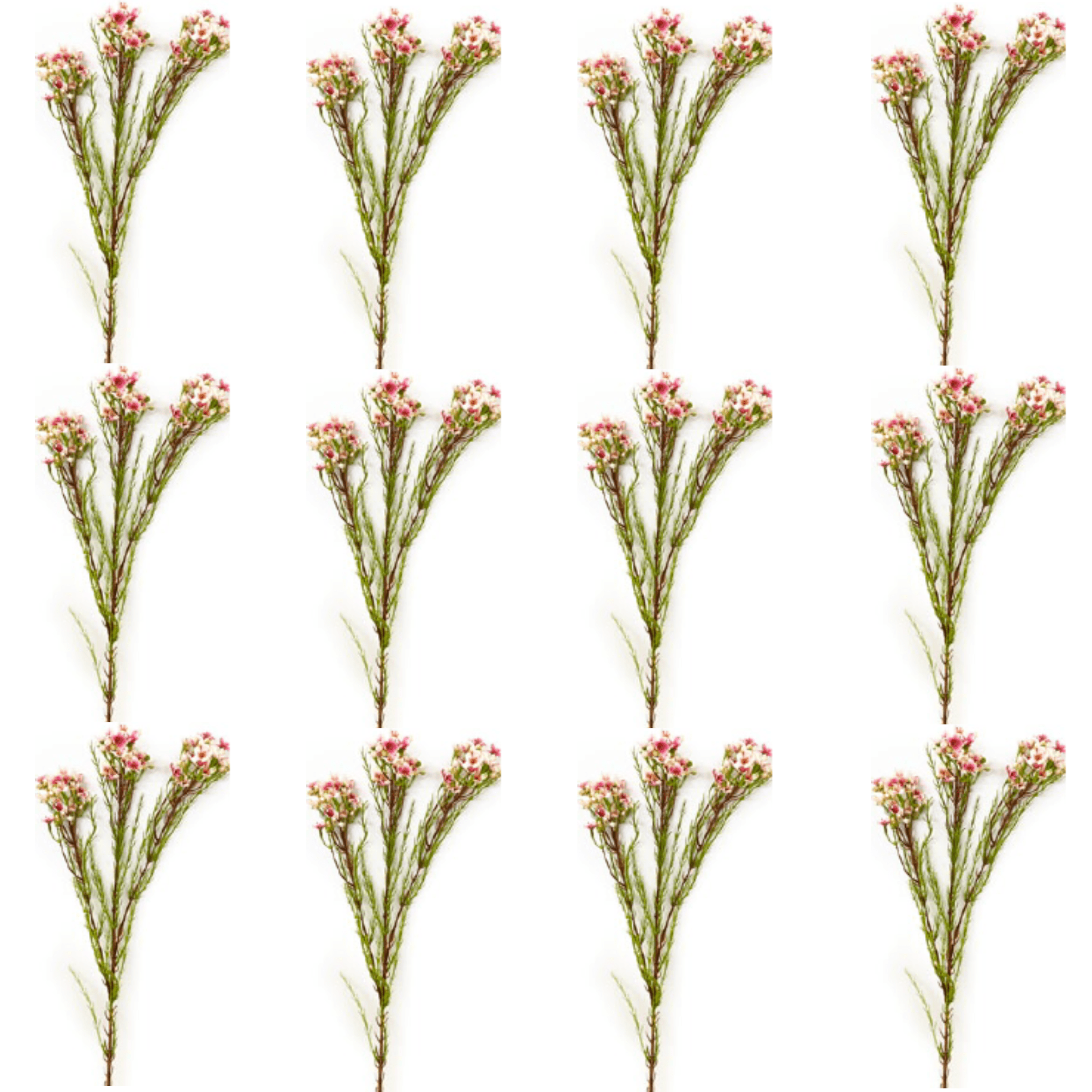 Toolhome Blossoms – Wax Flowers – Pink (Pack of 12 Stems) – 78cm