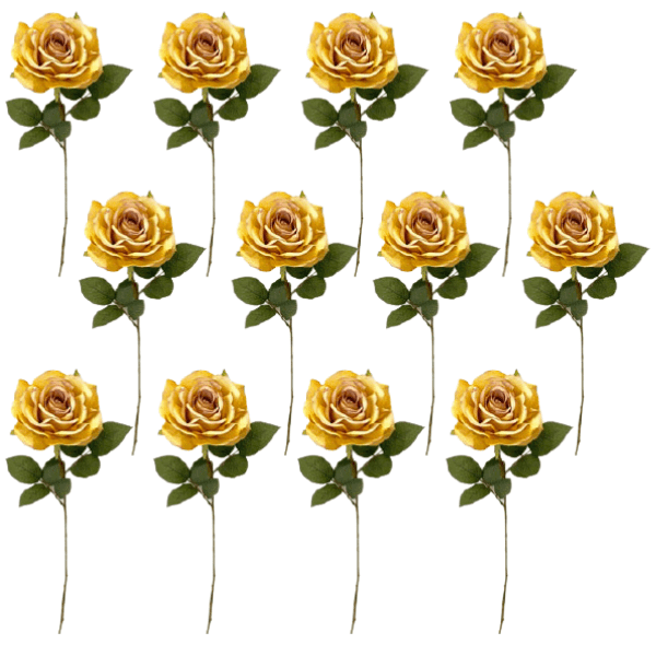 Toolhome Blossoms – Roses – Gold (Pack of 12 Stems) – 64cm