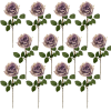 Toolhome Blossoms – Roses – Purple Green (Pack of 12 Stems) – 64cm Toolhome Blossoms – Roses – Purple Green (Pack of 12 Stems) – 64cm