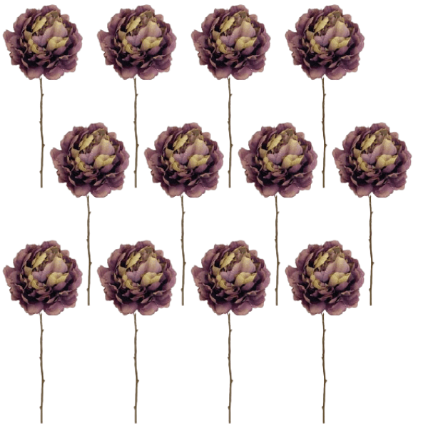 Toolhome Blossoms – Peony – Burgundy Green (Pack of 12 Stems) – 59cm