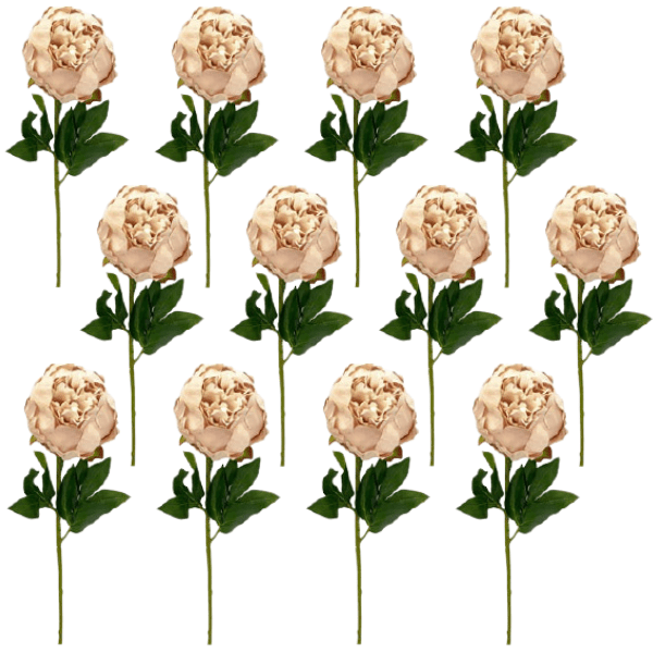 Toolhome Blossoms – Closed Peony – Sand (Pack of 12 Stems) – 47cm
