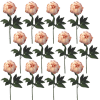 Toolhome Blossoms – Closed Peony – Light Pink (Pack of 12 Stems) – 47cm Toolhome Blossoms – Closed Peony – Light Pink (Pack of 12 Stems) – 47cm