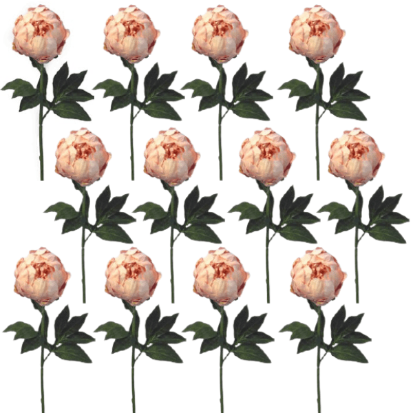 Toolhome Blossoms – Closed Peony – Light Pink (Pack of 12 Stems) – 47cm