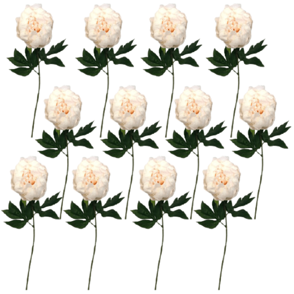 Toolhome Blossoms – Closed Peony – Light Peach (Pack of 12 Stems) – 47cm