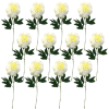 Toolhome Blossoms – Closed Peony – Cream (Pack of 12 Stems) – 47cm Toolhome Blossoms – Closed Peony – Cream (Pack of 12 Stems) – 47cm
