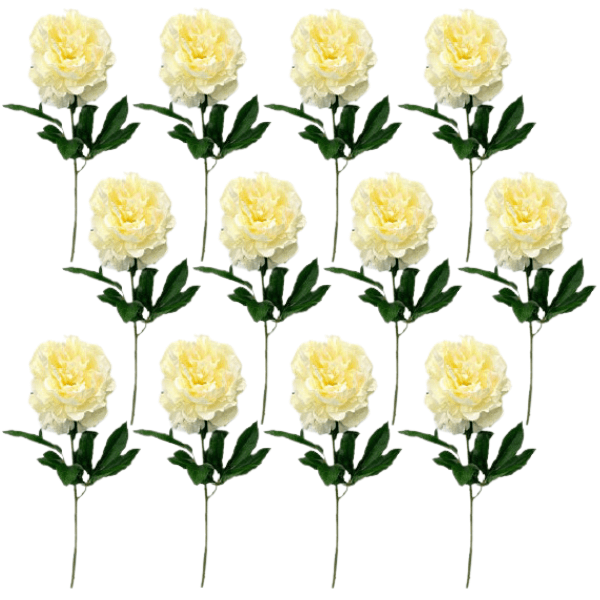Toolhome Blossoms – Peony – Cream (Pack of 12 Stems) – 71cm