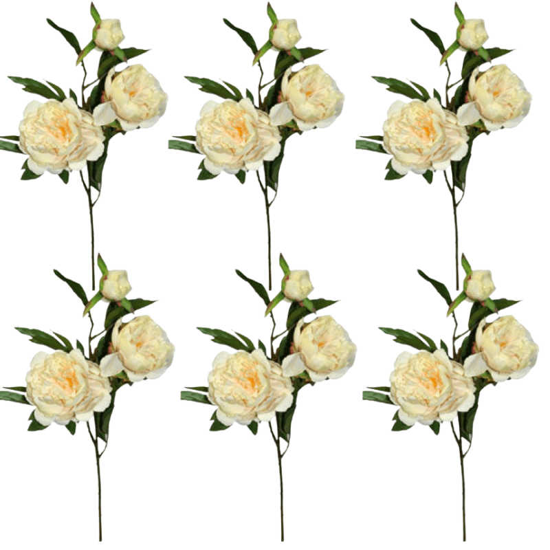 Toolhome Blossoms – Peony Spray – Sea Shell – Pack of 6 Stems – 74cm