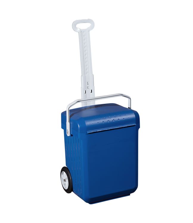 Weelie School Bag with Dividers – Blue/ Grey