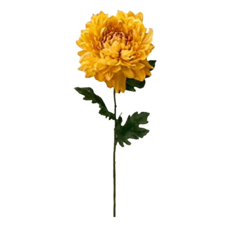 Toolhome Blossoms – Chrysanthemums Mums – Mustard (Pack of 12 Stems) – 76cm