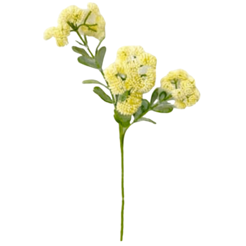 Toolhome Blossoms – Sedum – Cream (Pack of 12 Sprays) – 56cm