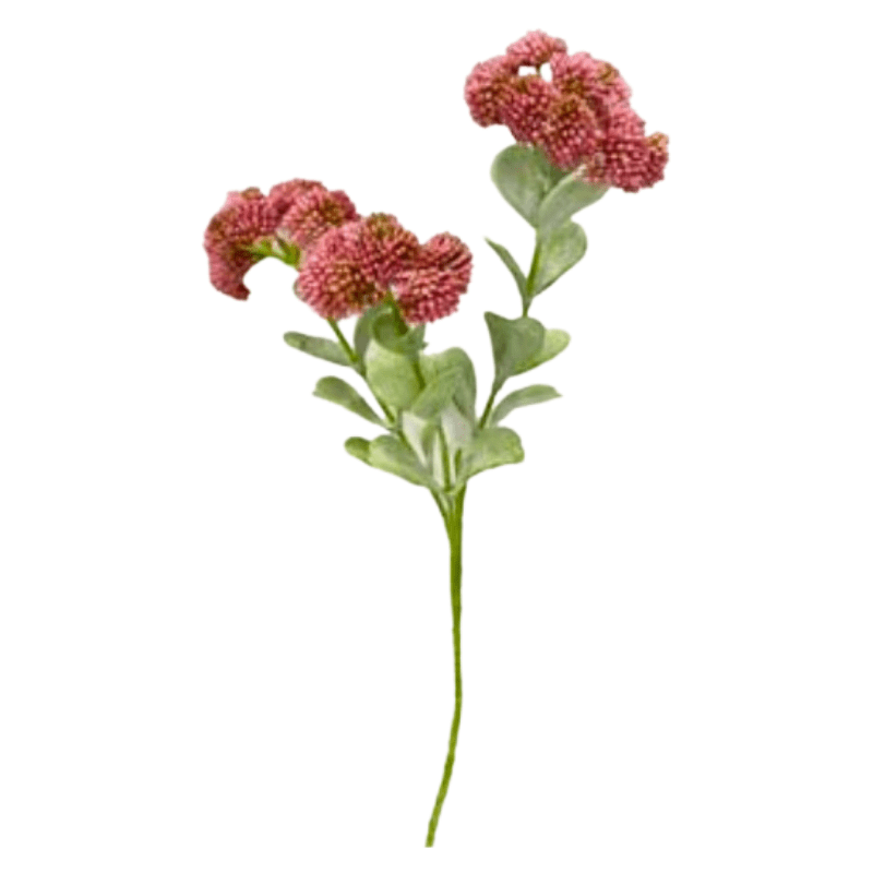 Toolhome Blossoms – Sedum – Pink (Pack of 12 Sprays) – 56cm