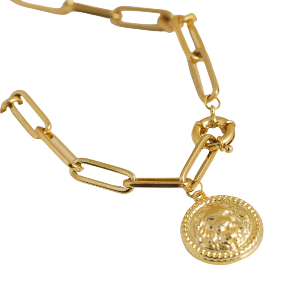 NuLuDa Jewellery- Lion Pendant Necklace – Gold Plated