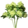Toolhome Blossoms – Snowball – Green Pack of 12 Stems – 46cm Toolhome Blossoms – Snowball – Green Pack of 12 Stems – 46cm