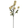 Toolhome Blossoms – Pom Pom – Spray Cream – 61cm Toolhome Blossoms – Pom Pom – Spray Cream – 61cm