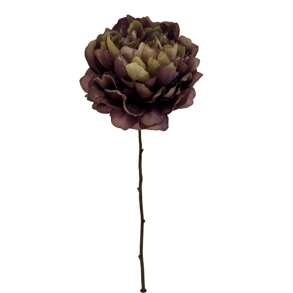 Toolhome Blossoms – Peony – Burgundy Green – 59cm