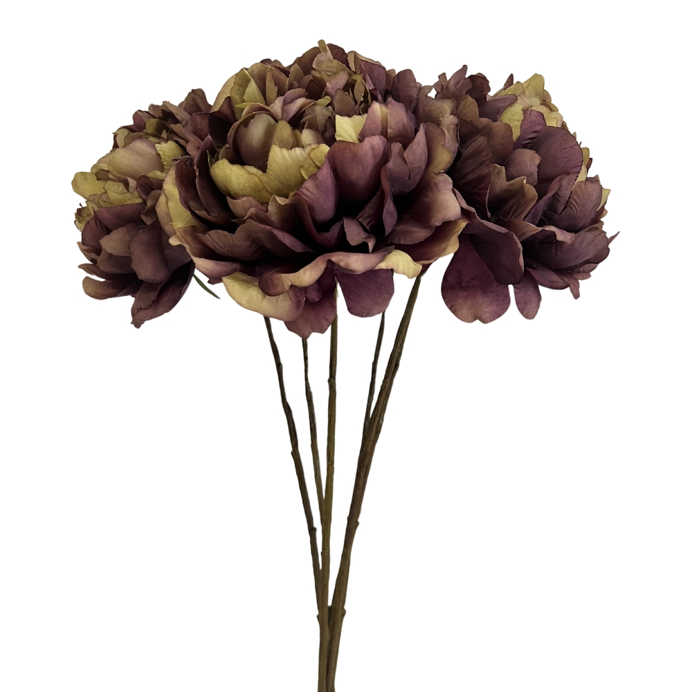Toolhome Blossoms – Peonies – Burgundy Green (Pack of 6 Stems)- 59cm